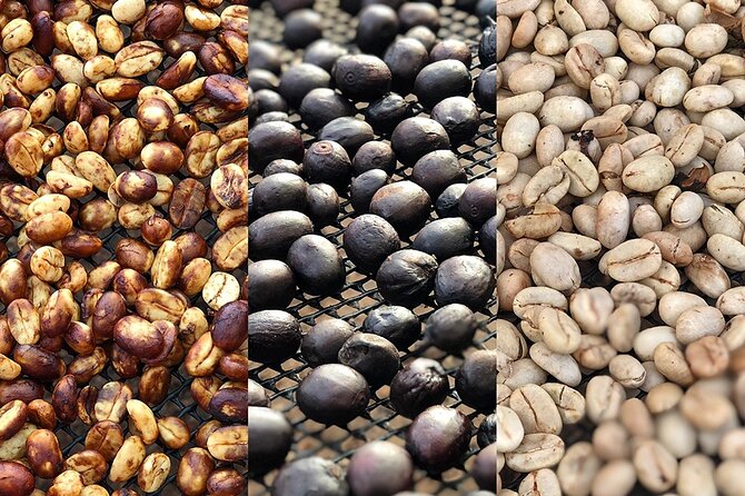 Coffee Farm and Salento Walking Tour With Lunch - Tour Overview
