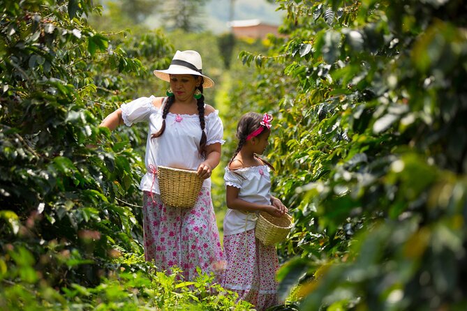 Coffee Farm and Salento Walking Tour With Lunch - Exploring the Coffee Farm