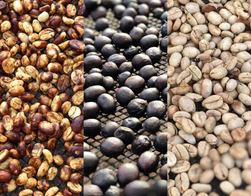 Coffee Farm and Salento Walking Tour With Lunch - Coffee Farm Experience