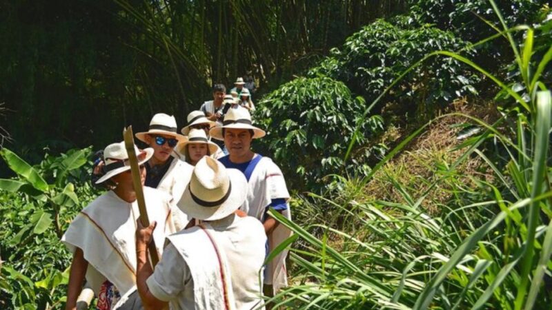 Coffee Farm and Santa Rosa Hot Springs From Pereira/Armenia - Guided Experience