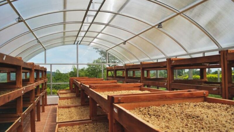 Coffee Farm and Santa Rosa Hot Springs From Pereira/Armenia - What to Bring and Prepare
