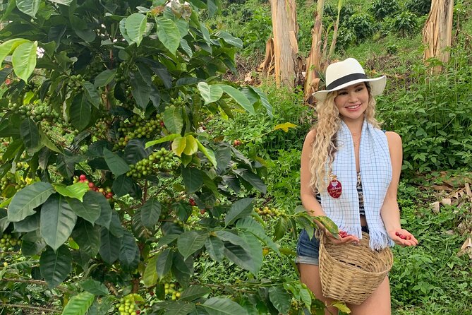 Coffee Farm and Santa Rosa Hot Springs Tour From Pereira or Armenia - Hot Springs Experience
