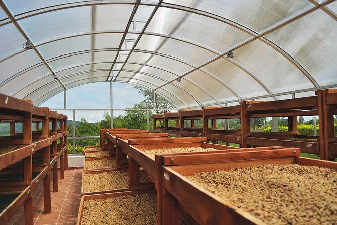 Coffee Farm and Santa Rosa Hot Springs Tour From Pereira or Armenia - Highlights of the Tour