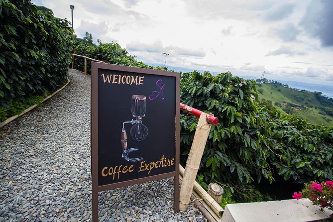 Coffee Farm Experience at Hacienda San Alberto From Salento - Key Points