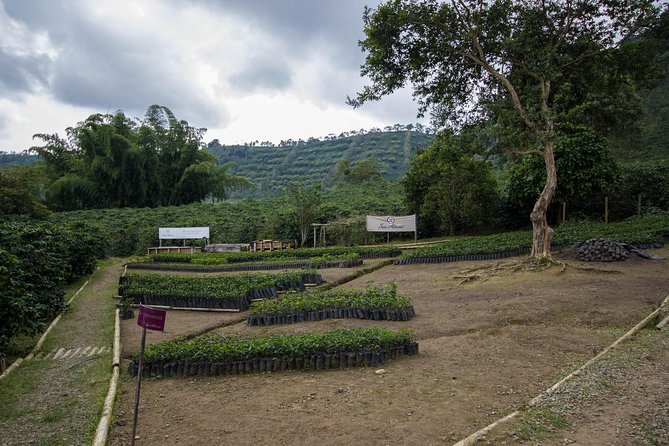 Coffee Farm Experience at Hacienda San Alberto From Salento - Inclusions at Hacienda San Alberto