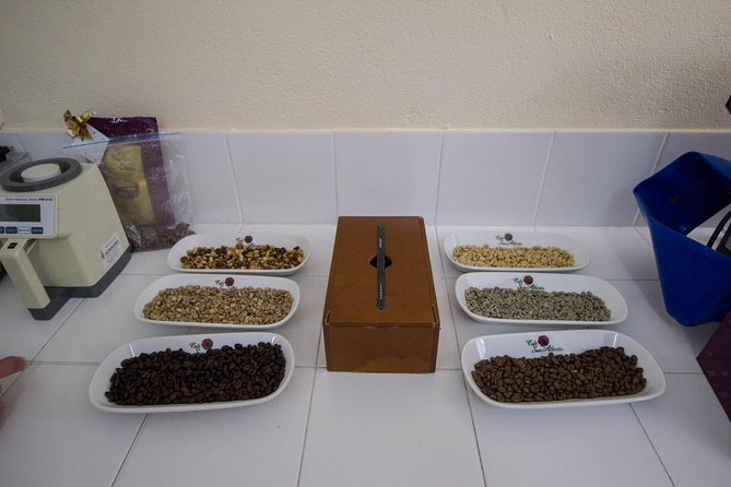 Coffee Farm Experience at Hacienda San Alberto From Salento - Hotel Pickup and Drop-off