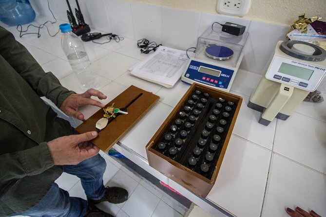Coffee Farm Experience at Hacienda San Alberto From Salento - Exploring Salento and Beyond