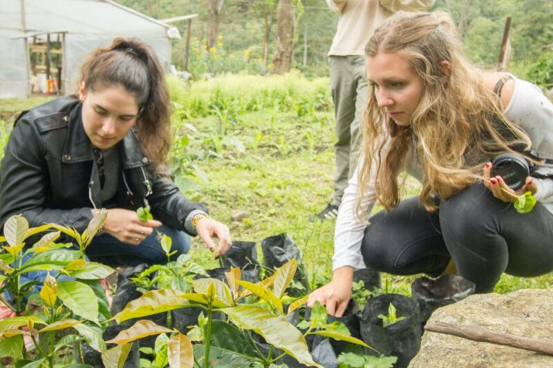 Coffee Farm Experience at La Palma & El Tucán From Bogotá - Key Points