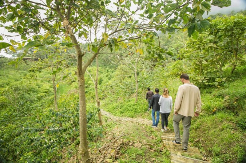 Coffee Farm Experience at La Palma & El Tucán From Bogotá - Location and Significance