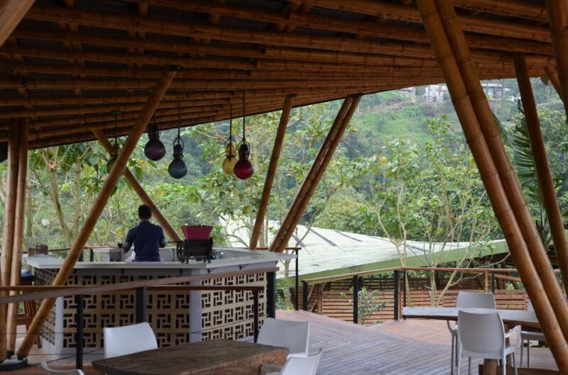 Coffee Farm Experience at La Palma & El Tucán From Bogotá - Tasting Colombian Coffee
