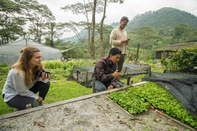 Coffee Farm Experience at La Palma & El Tucán From Bogotá - Inclusions and Amenities