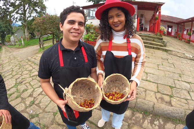 Coffee Farm - Group Tour and Daily Departure - Key Points