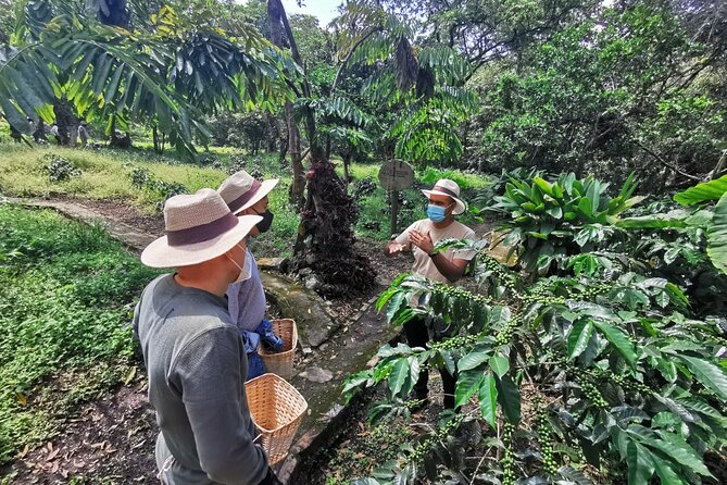 Coffee Farm - Group Tour and Daily Departure - Inclusions and Exclusions