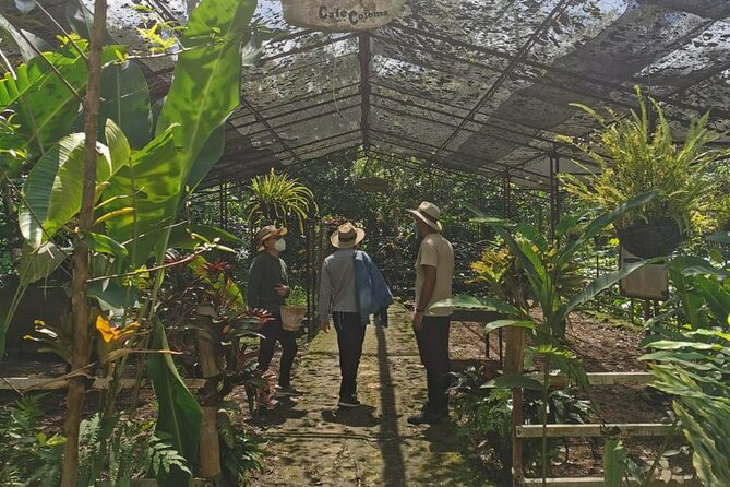 Coffee Farm - Group Tour and Daily Departure - Additional Information