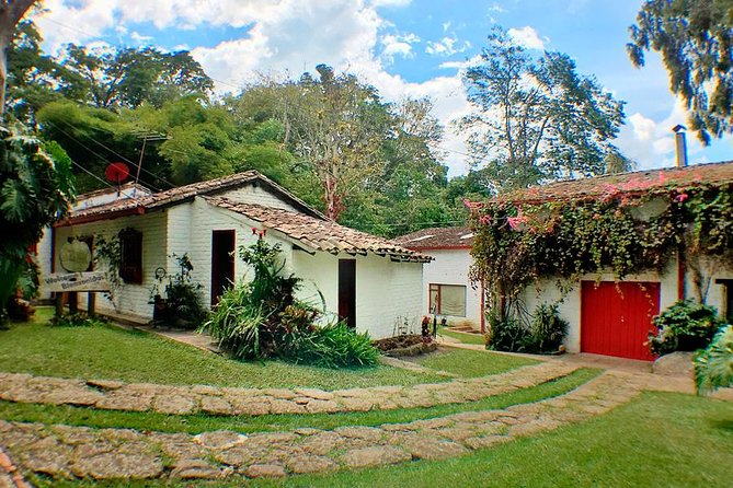 Coffee Farm Hacienda La Coloma Private Tour With Optional Lunch - Tour Experience and Reviews
