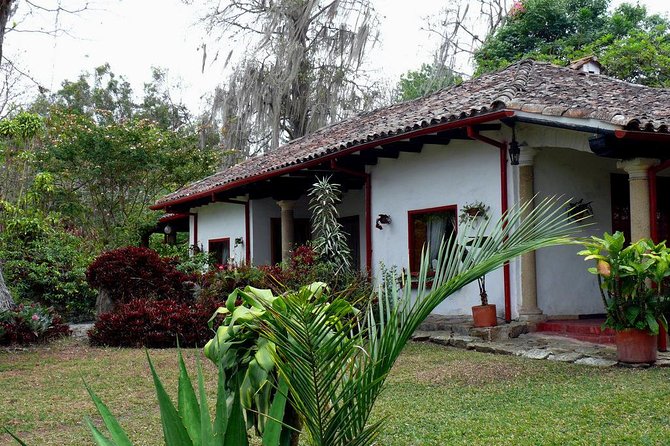 Coffee Farm Hacienda La Coloma Private Tour With Optional Lunch - Scenic Hacienda Grounds