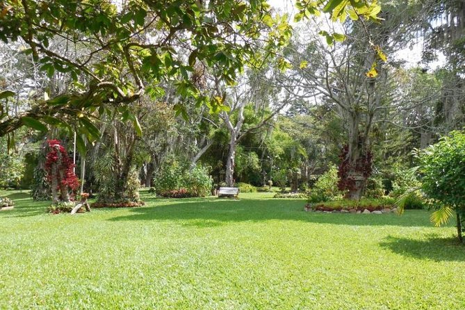 Coffee Farm Hacienda La Coloma Private Tour With Optional Lunch - Informative and Personalized Guidance
