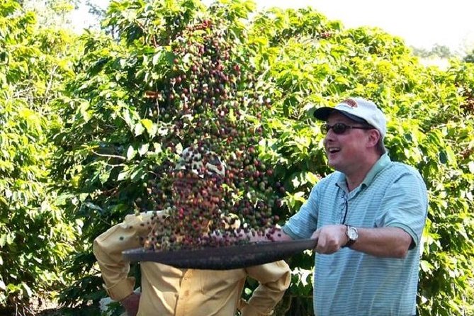 Coffee Farm Tour 80 Km From São Paulo and Breakfast - 8 Hours - Experience and Activities at the Farm