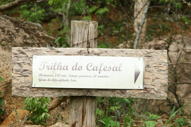 Coffee Farm Tour 80 Km From São Paulo and Breakfast - 8 Hours - Inclusions and Amenities of the Tour