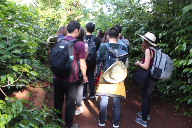 Coffee Farm Tour, Coffee Roasting and Tasting Experience - Location and Meeting Points
