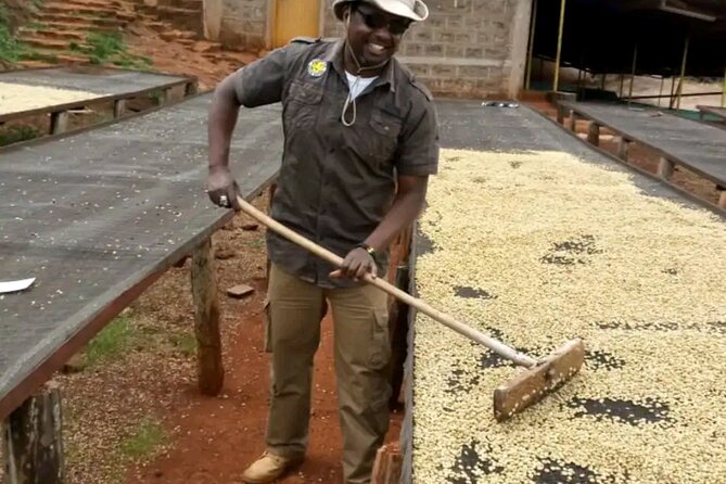 Coffee Farm Tour, Coffee Roasting and Tasting Experience - Tasting Premium Kenyan Coffee