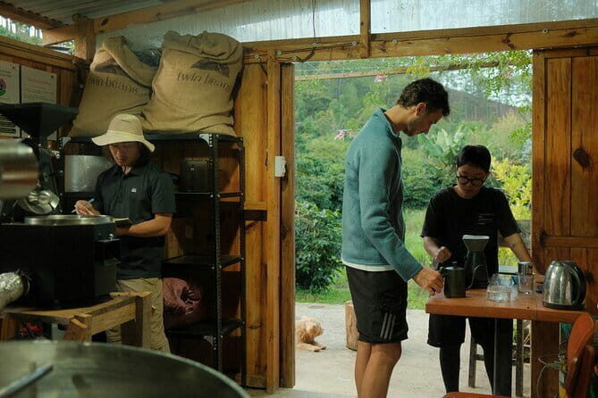 Coffee Farm Tour with Roasting & Tasting Workshop - Da Lat - An In-Depth Look at the Coffee Farm Experience