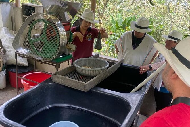 Coffee Farmer for a Day With Lunch Included - Schedule and Availability