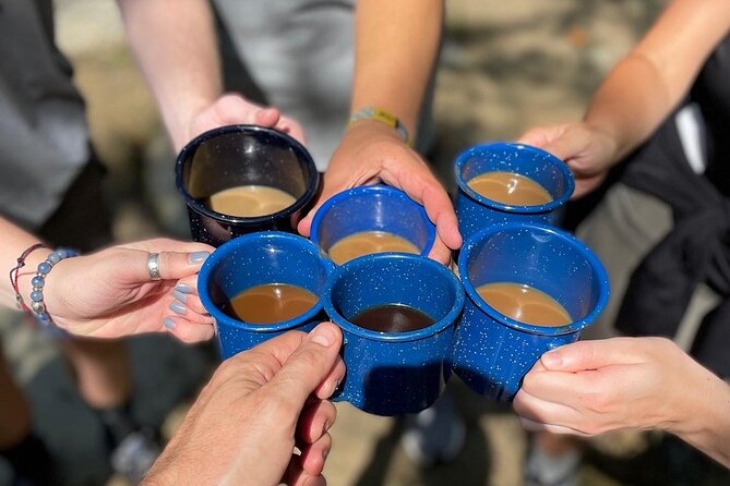 Coffee Hike to Three Waterfalls in DuPont State Forest - What to Expect