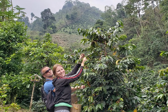 Coffee Lovers Express Coffee Tour - Pickup Information