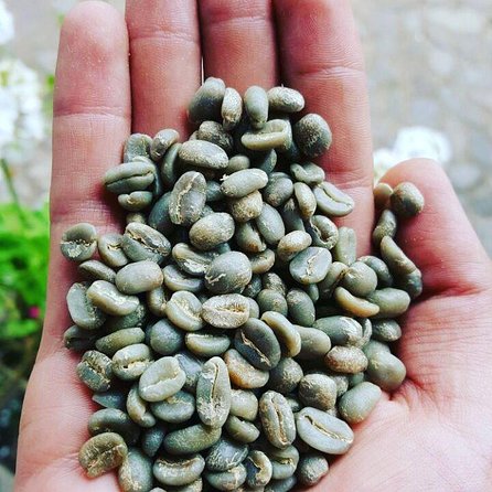 Coffee Lovers Express Coffee Tour - Accessibility and Participation