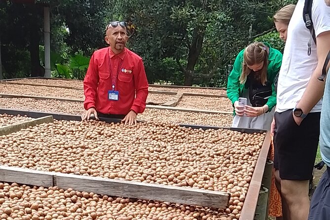 Coffee & Macadamia Fincas Tour - Pricing and Booking