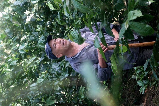 Coffee Museum and Coffee Tour at El Cafe-tal Apan - Additional Information
