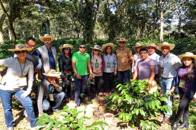 Coffee Museum and Coffee Tour at El Cafe-tal Apan - Coffee Museum Experience