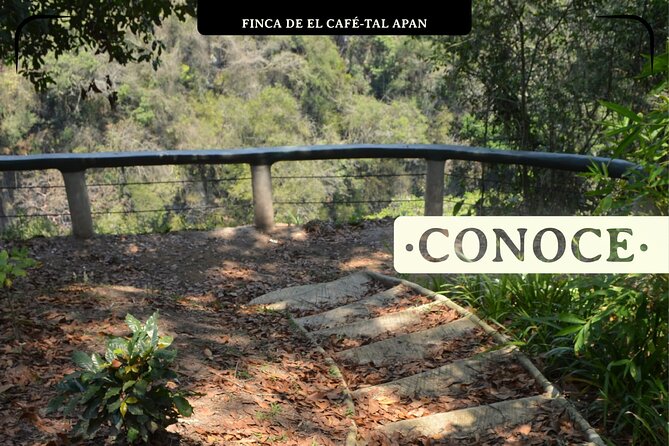 Coffee Museum and Coffee Tour at El Cafe-tal Apan - Tasting and Dining