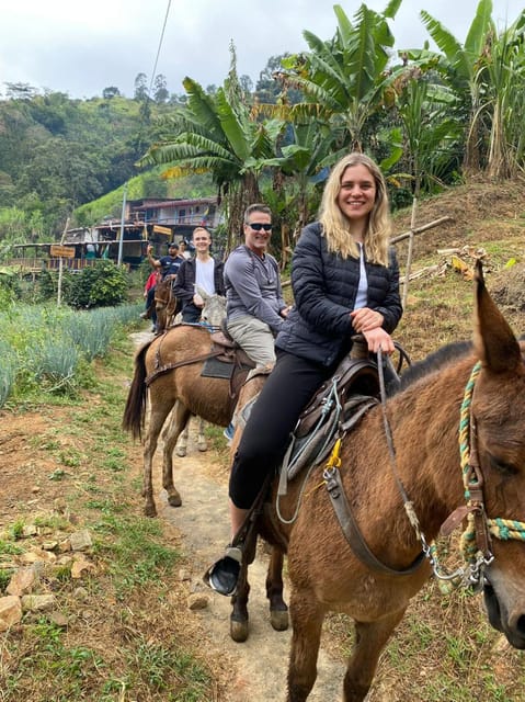 Coffee-Panelero Tour + Horseback Riding - Medellín - Key Points