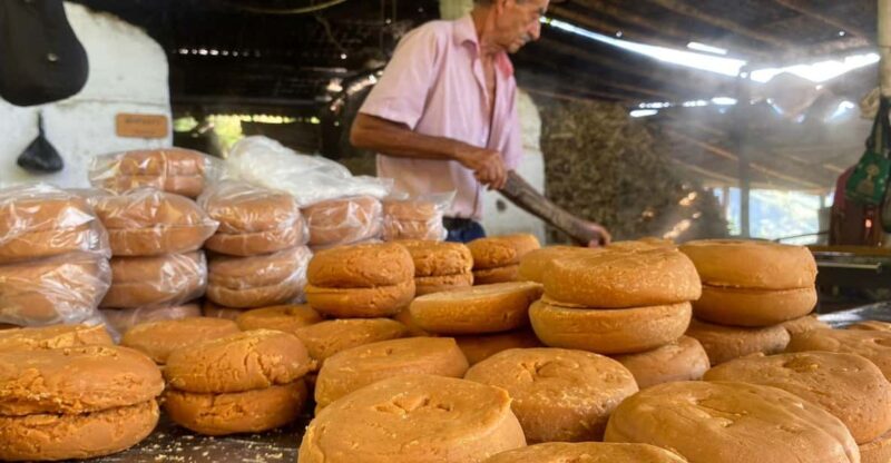 Coffee-Panelero Tour + Horseback Riding - Medellín - Experience and Activities
