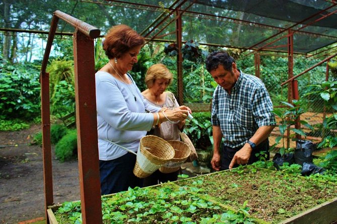 Coffee Plantation 7 Hrs Private Exclusive Tour Lunch All Included - Meeting and Pickup