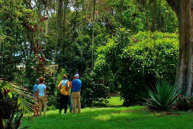 Coffee Plantation 7 Hrs Private Exclusive Tour Lunch All Included - Exclusive Transportation and Guide