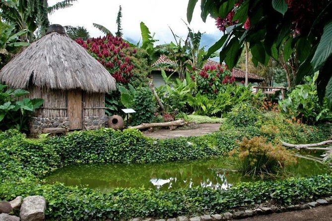 Coffee Plantation and Antigua Combo - Exploring the Historic Antigua