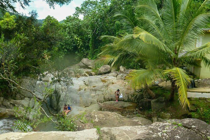 Coffee Plantation and River with Waterfalls in Puerto Rico - The Sum Up