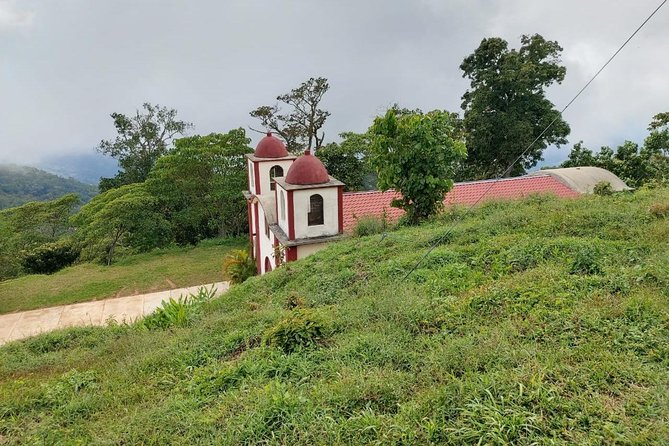 Coffee Plantation Experience - Tips for Your Visit