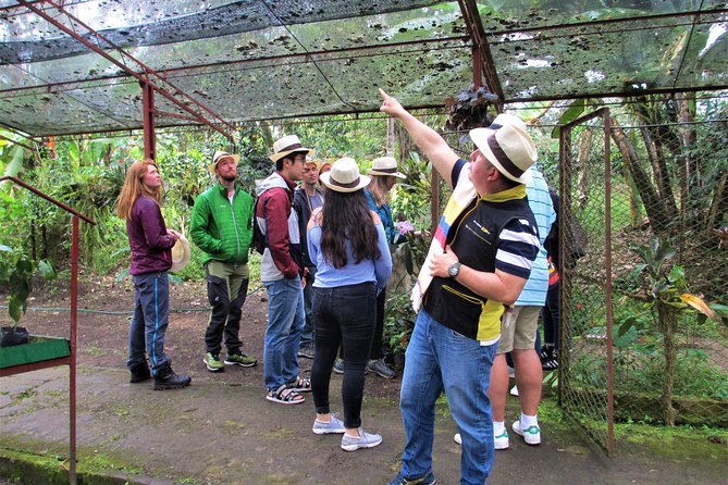 Coffee Plantation Tour From Bogota - Pricing and Reviews