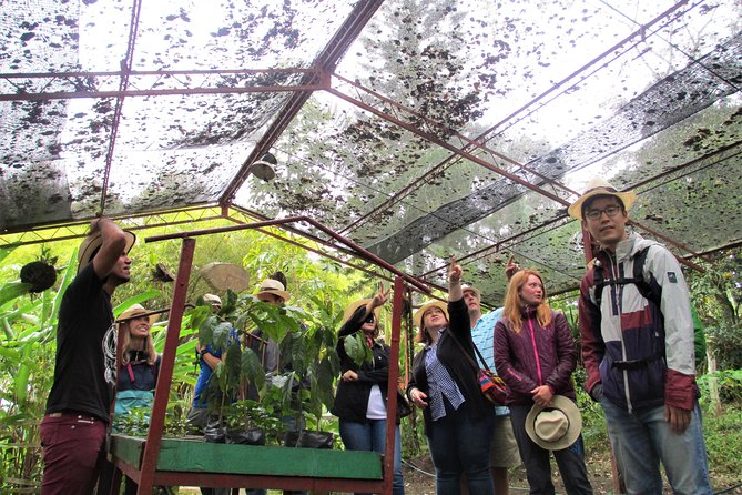 Coffee Plantation Tour From Bogota - Coffee Plantation Experience