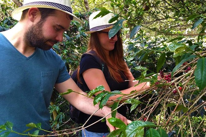 Coffee Plantation Tour From Bogota - Private and Personalized Tour