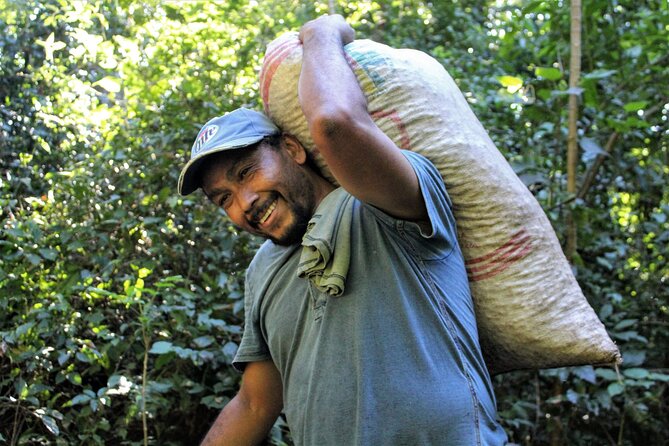 Coffee Plantation Visit and Tasting Activity in Costa Rica - Coffee Production Process Insights