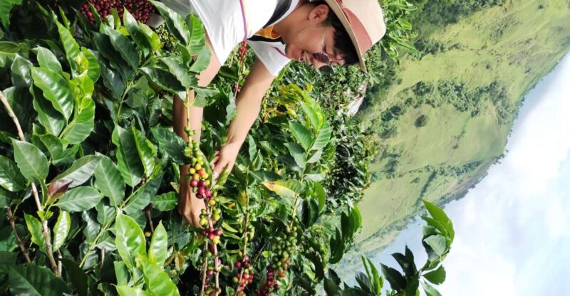 Coffee Region Colombia: Authentic Coffee Experiences - Detailed Itinerary, Day 1