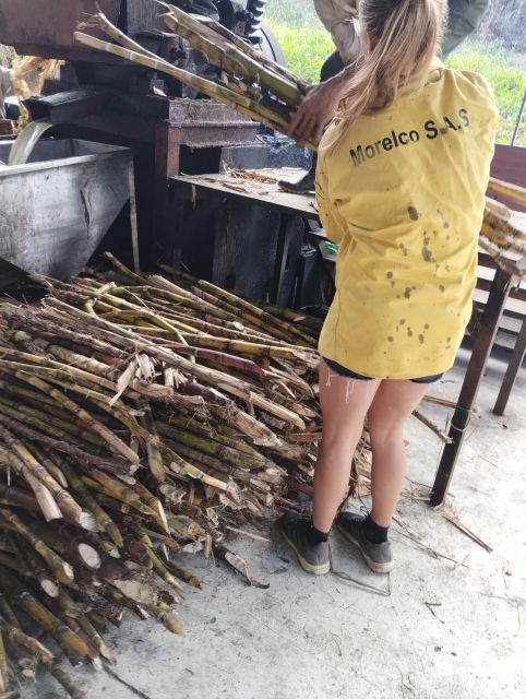 Coffee Region Colombia: Authentic Coffee Experiences - Important Information