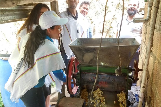 Coffee Tour, a Coffee Between Mountains - Medellín - Accessibility and Policies