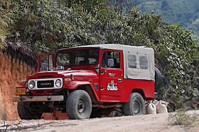 Coffee Tour, a Coffee Between Mountains - Medellín - Booking and Cancellation