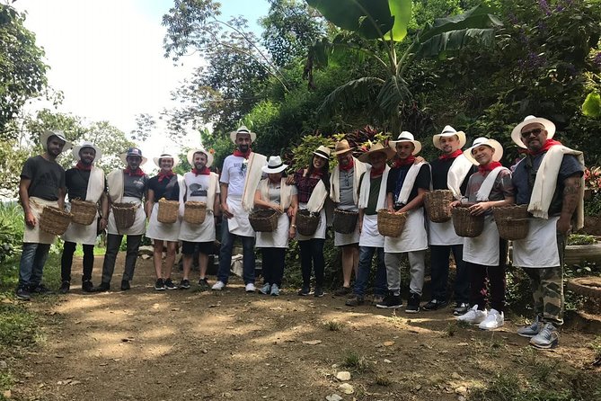 Coffee Tour - All Inclusive - Medellín - Key Points